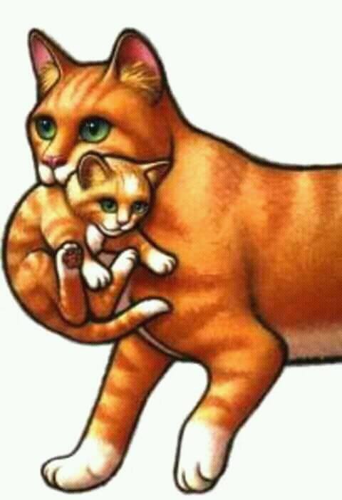 34728533_852502224957256_4242793502167007232_n