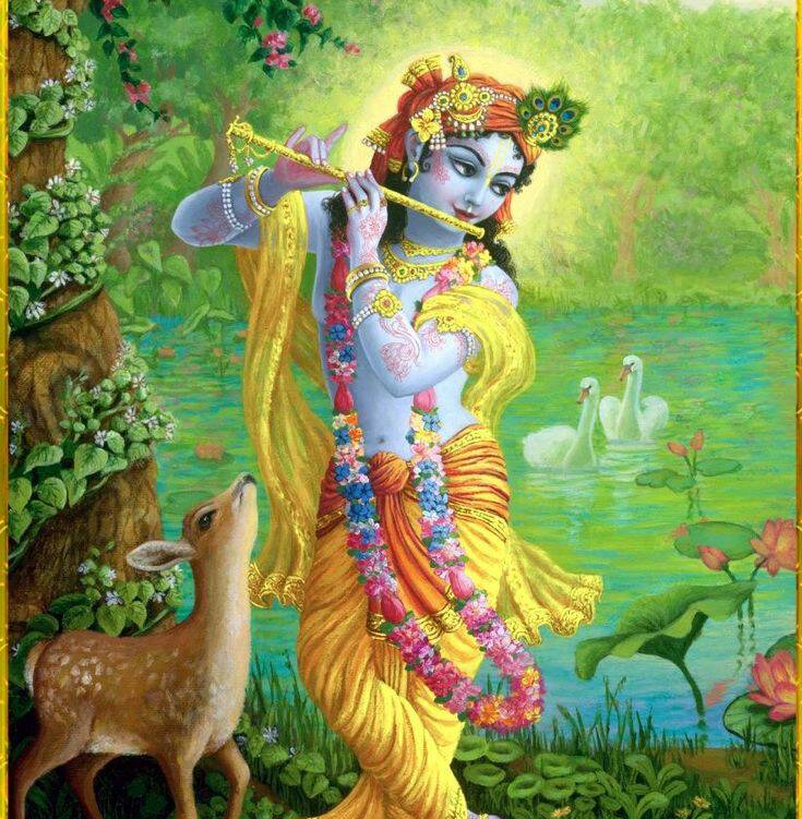 47685704_101662107547161_709171788596117504_n